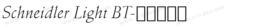Schneidler Light BT字体转换